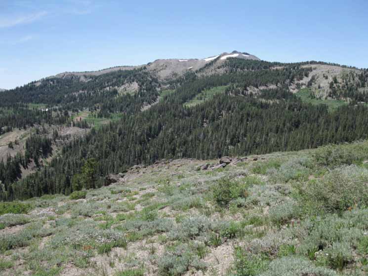 Upper Golden Canyon.